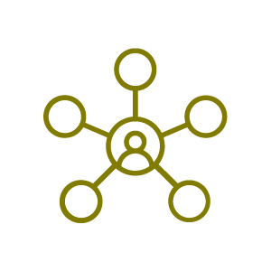 network icon