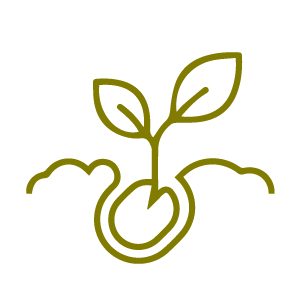 plant garden icon