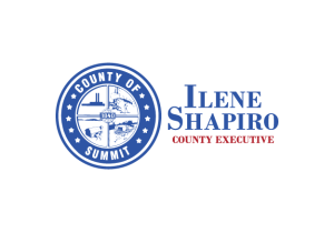 Ilene Shapiro
