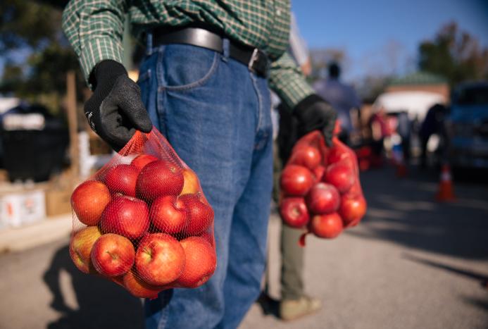 person holding bagged apples