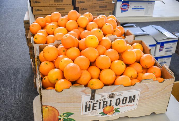 oranges